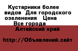 Кустарники более 100 видов. Для городского озеленения › Цена ­ 70 - Все города  »    . Алтайский край